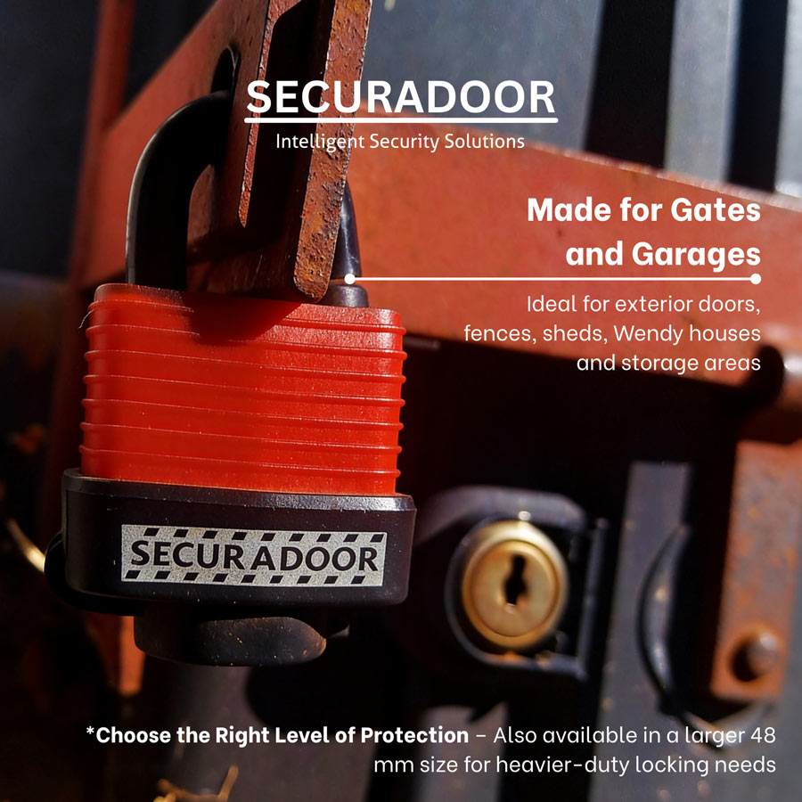 Securadoor Padlock